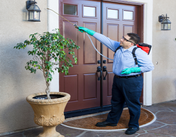 pest control pensacola