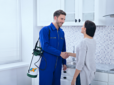 termites exterminator pensacola