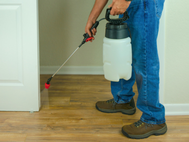 pest control pensacola